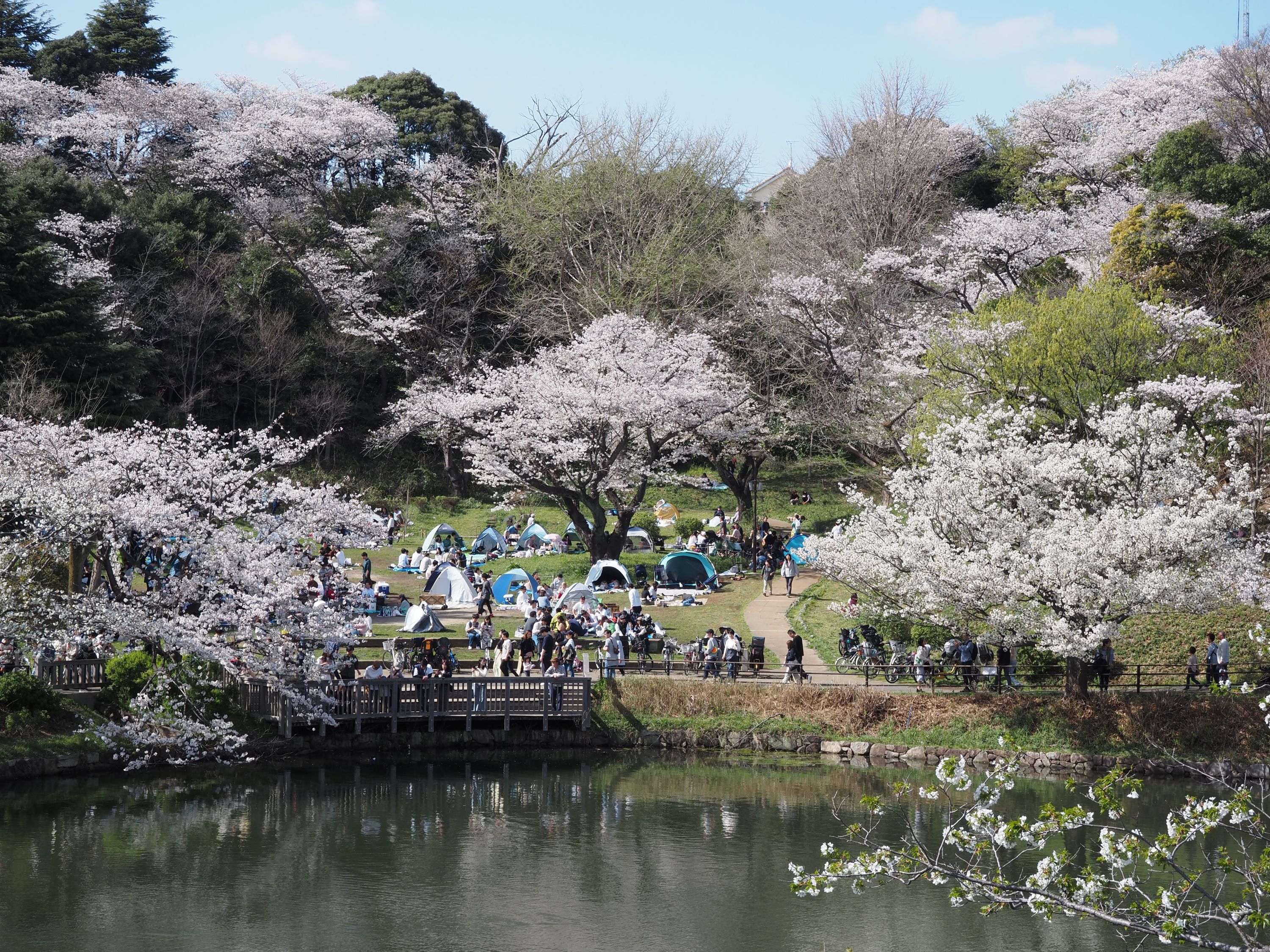 神奈川県立三ツ池公園【横浜市】